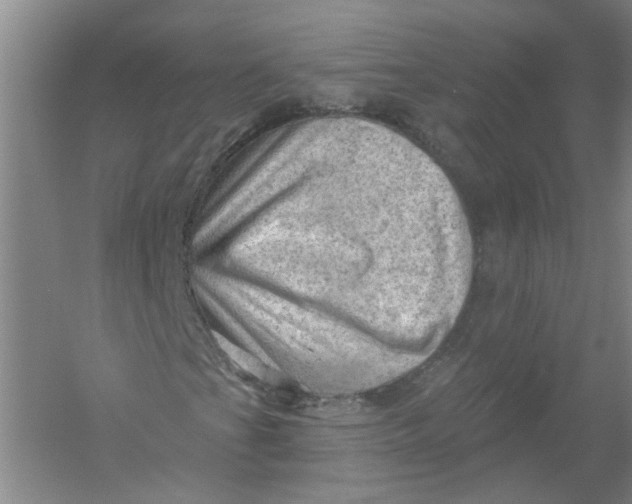 X0000054401201200508191956