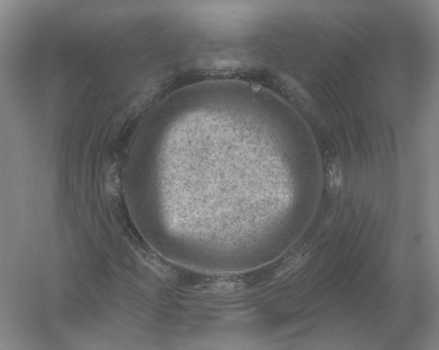 X0000054401204200508191956