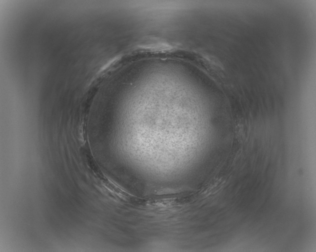 X0000054401205200508191956