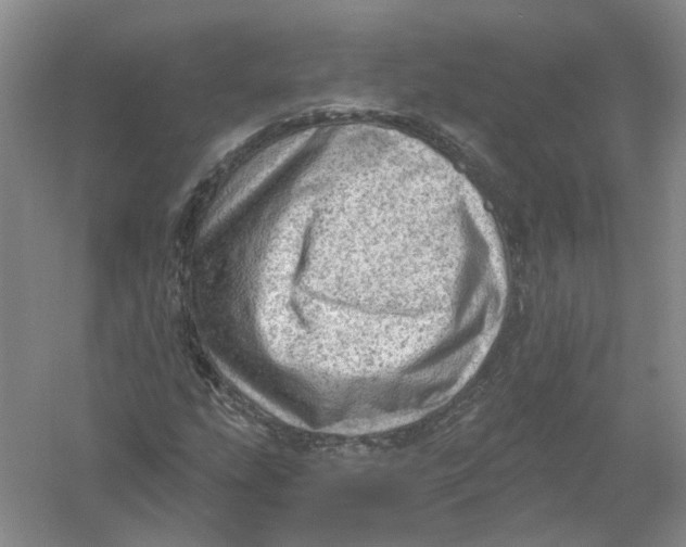 X0000054401207200508191956