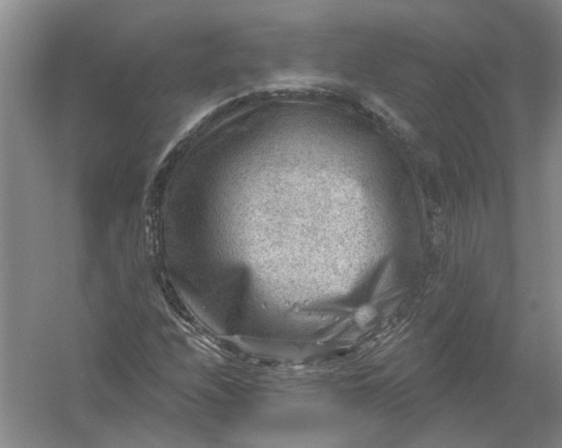 X0000054401208200508191956