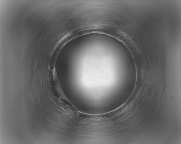 X0000054401210200508191956