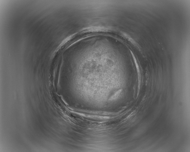 X0000054401213200508191956