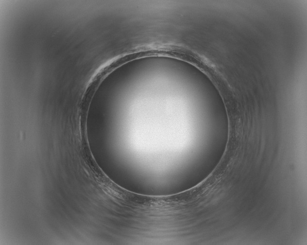 X0000054401214200508191956