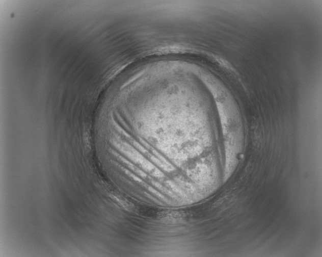 X0000054401217200508191956