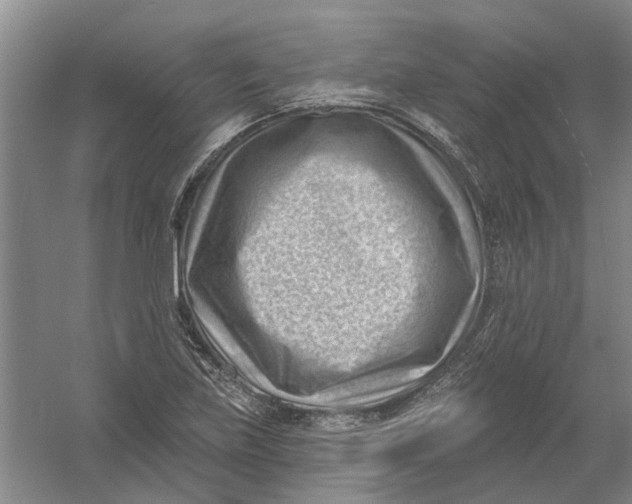 X0000054401219200508191956