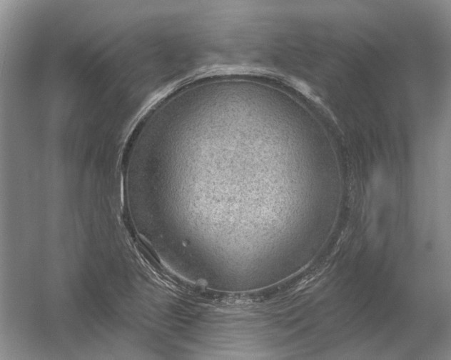 X0000054401221200508191956