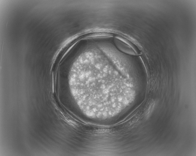 X0000054401223200508191956