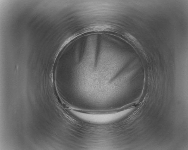 X0000054401226200508191956