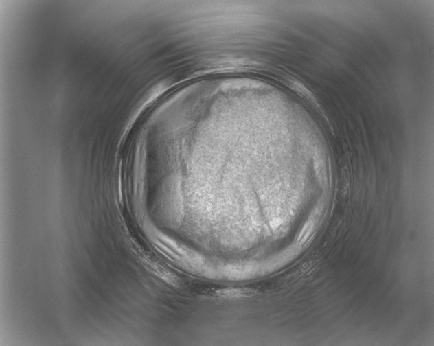 X0000054401227200508191956