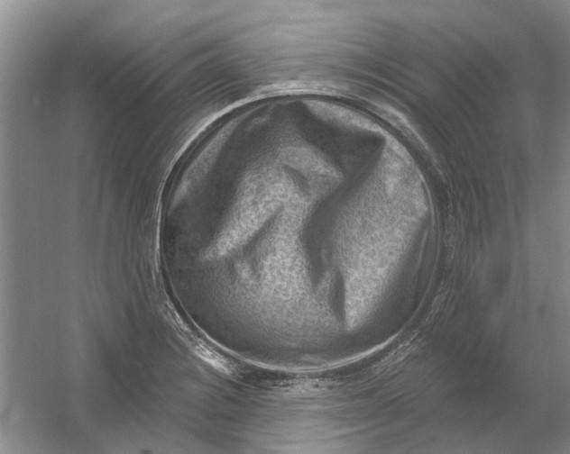 X0000054401228200508191956