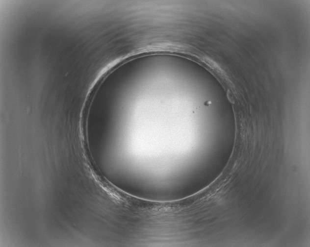 X0000054401230200508191956