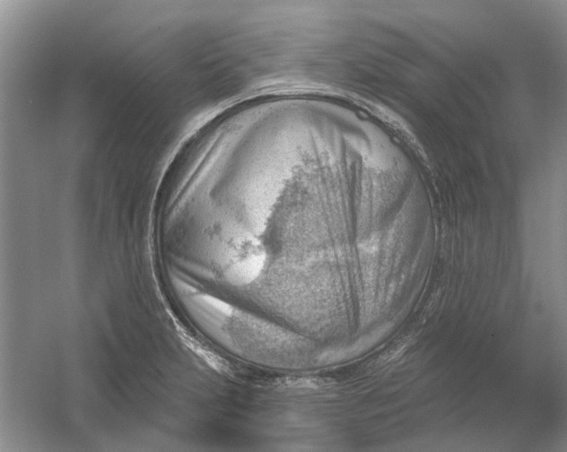 X0000054401231200508191956