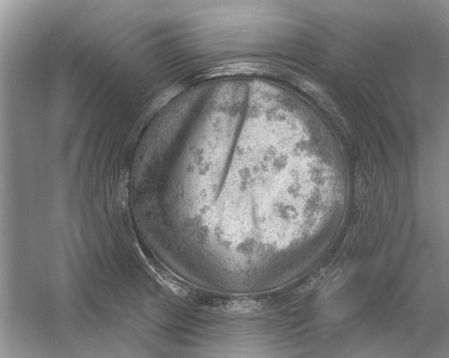 X0000054401233200508191956