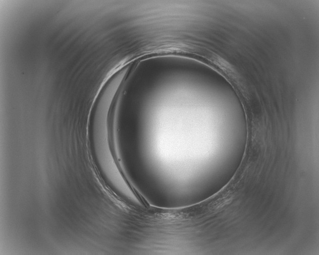 X0000054401234200508191956