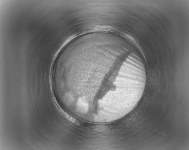 X0000054401235200508191956