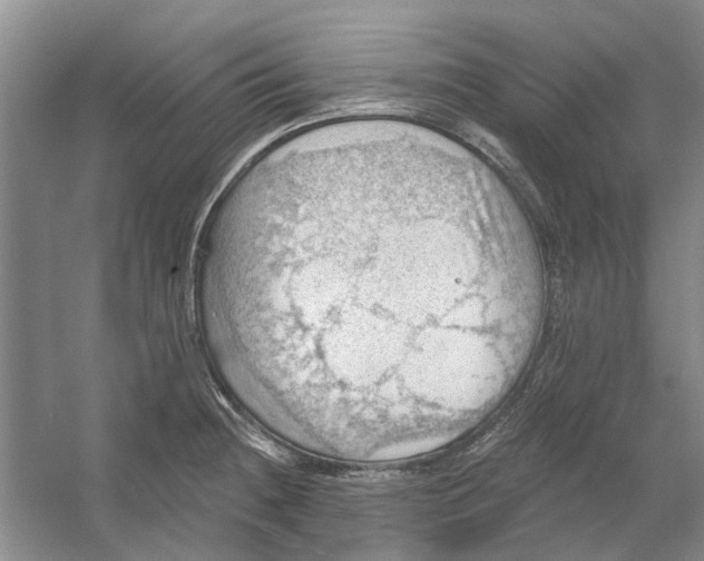 X0000054401236200508191956