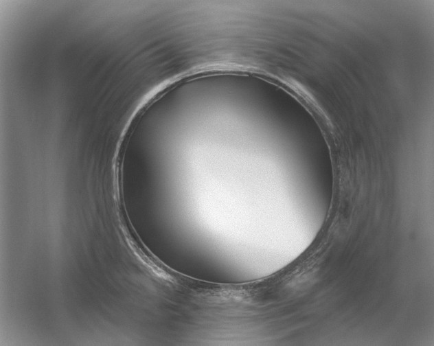 X0000054401238200508191956