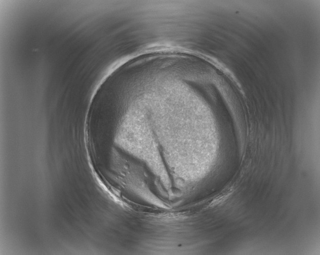 X0000054401239200508191956