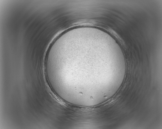 X0000054401240200508191956