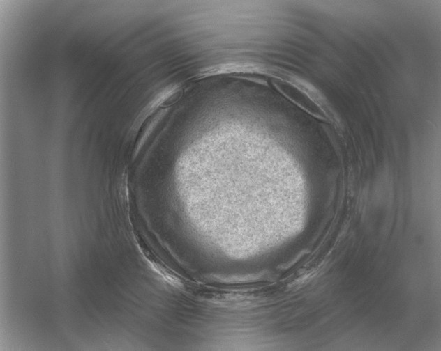 X0000054401241200508191956