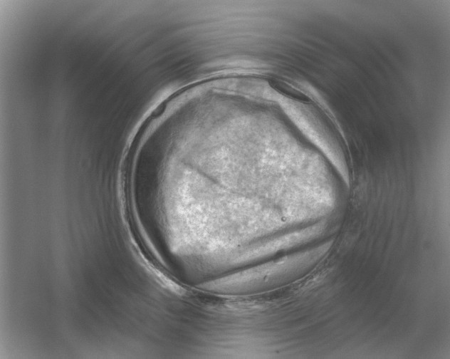 X0000054401243200508191956