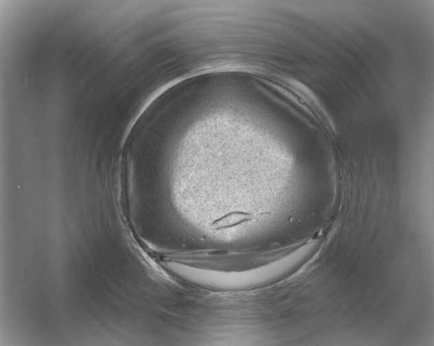 X0000054401244200508191957