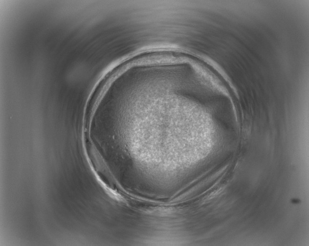 X0000054401245200508191957