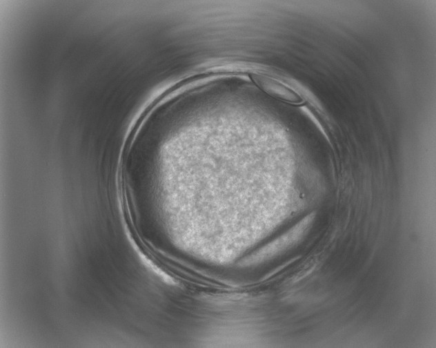 X0000054401247200508191957