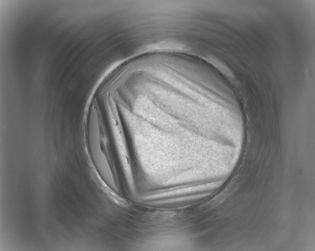 X0000054401248200508191957