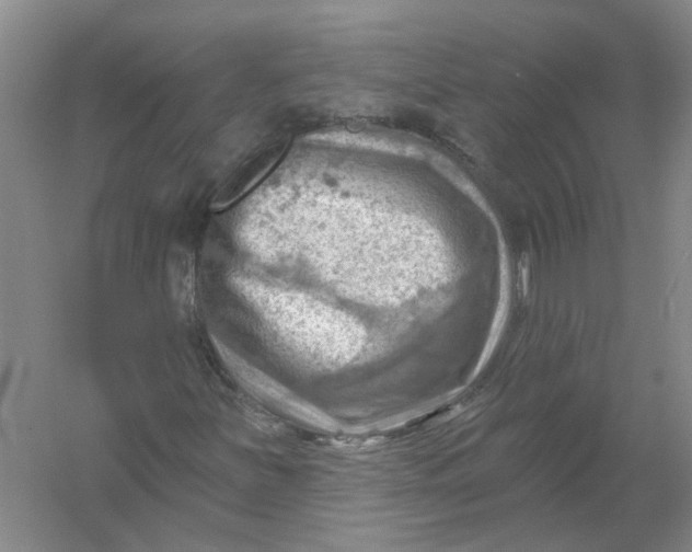 X0000054401251200508191956