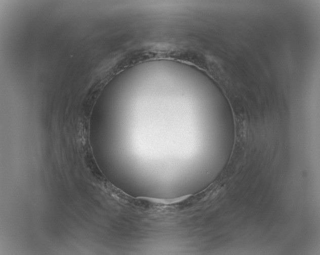 X0000054401253200508191956