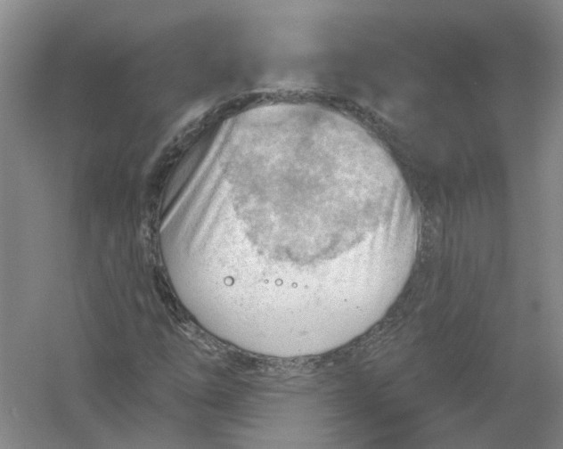 X0000054401254200508191956