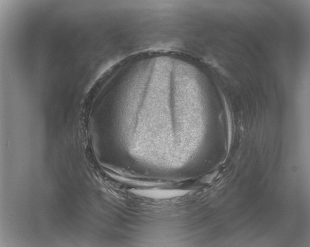 X0000054401256200508191956