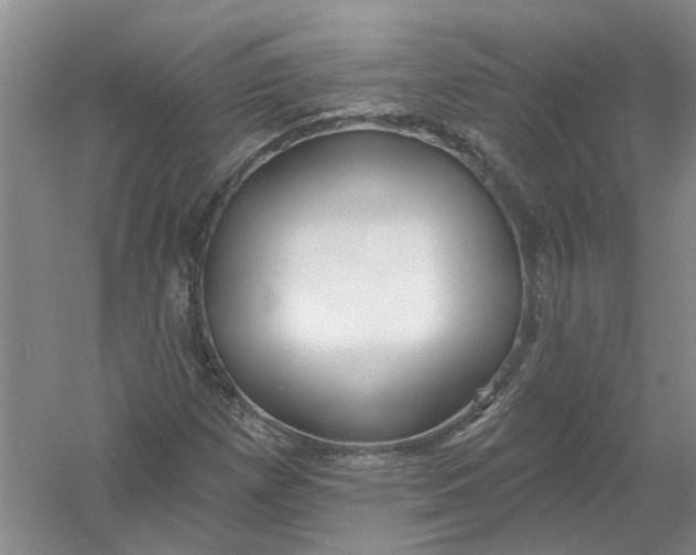 X0000054401257200508191956