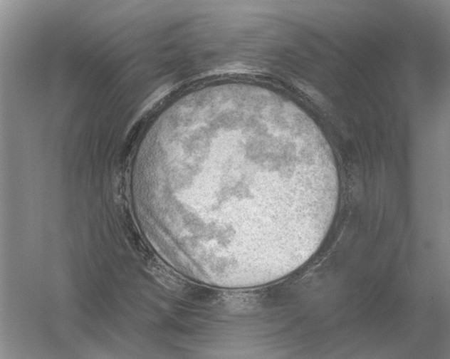 X0000054401258200508191956