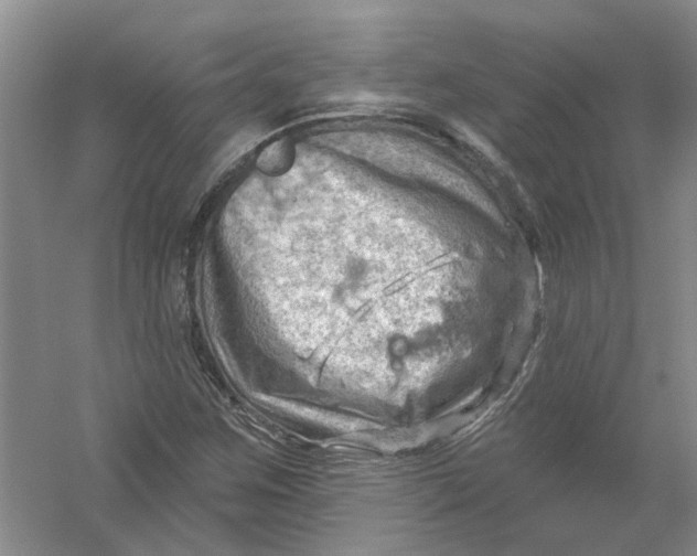 X0000054401259200508191956