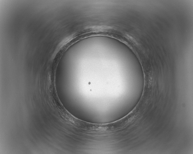 X0000054401261200508191956