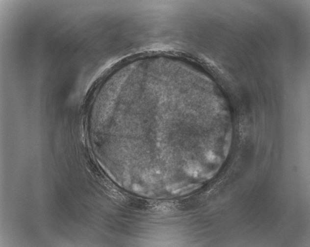 X0000054401262200508191956