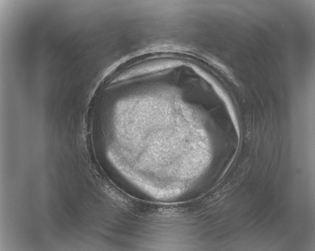 X0000054401264200508191956