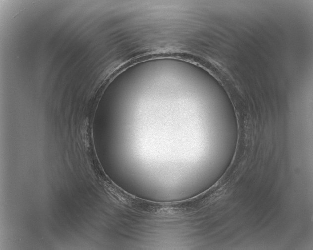 X0000054401265200508191955