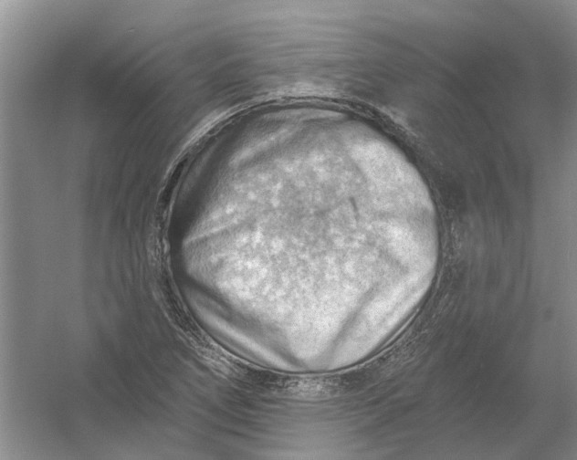 X0000054401266200508191955