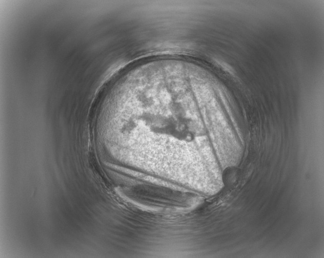 X0000054401267200508191955