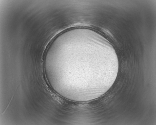 X0000054401268200508191955