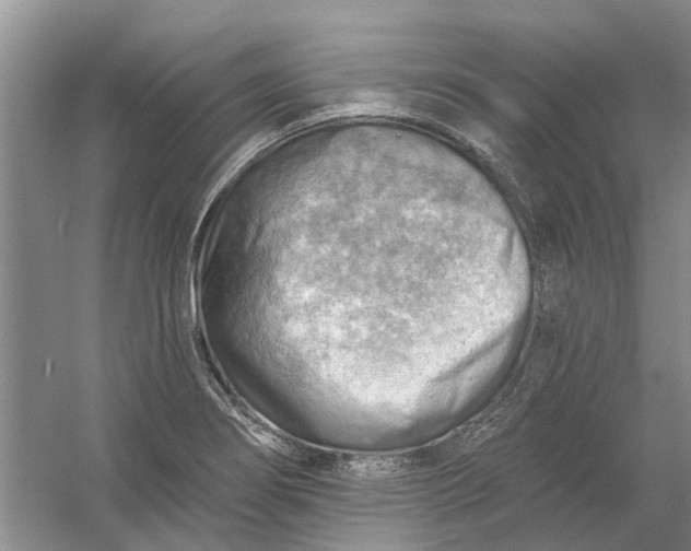 X0000054401274200508191955