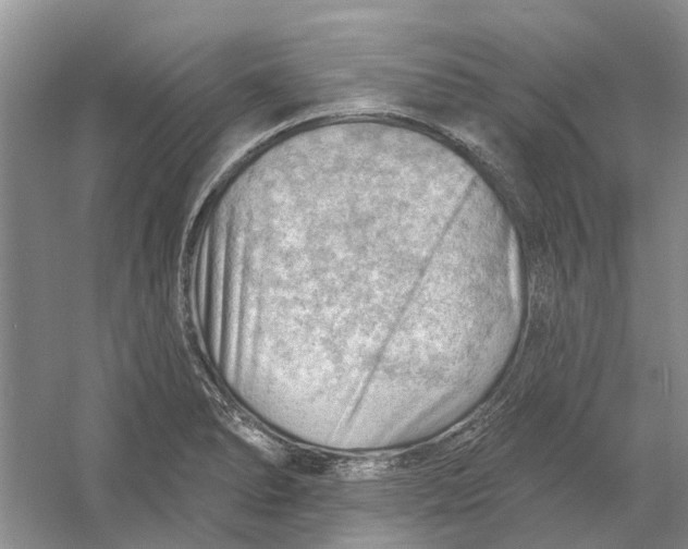 X0000054401278200508191955