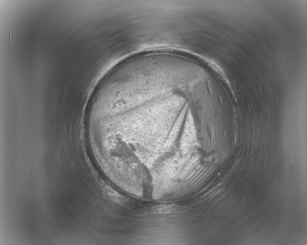 X0000054401279200508191955