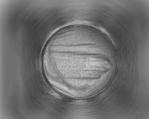 X0000054401280200508191955