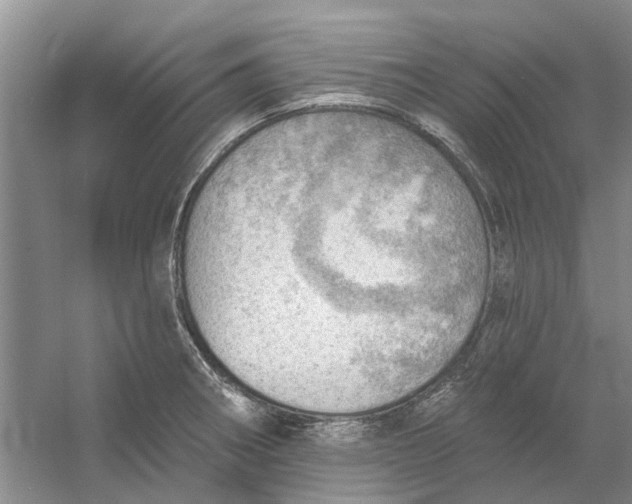 X0000054401282200508191955