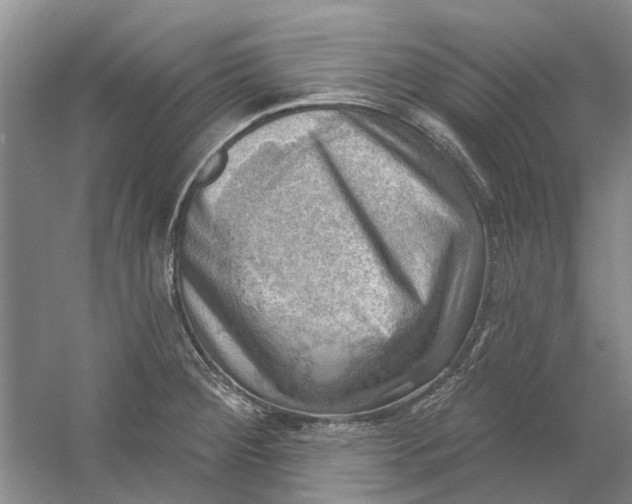 X0000054401284200508191955